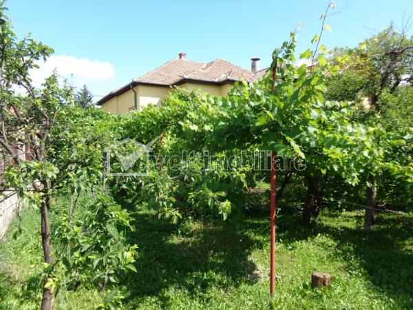 Casa 4 camere de vanzare in Cluj-napoca, cartier Dambul Rotund